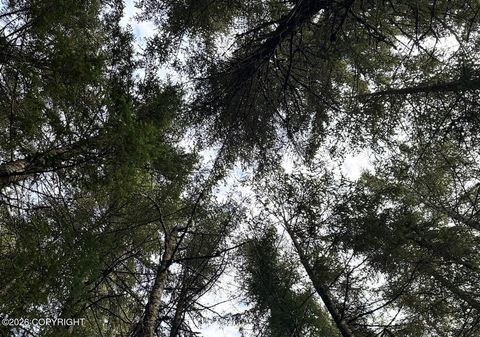 Vacant Land For Sale - L17 B11 Malcolm Street<br/> Seldovia, AK 99663