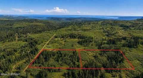 Vacant Land For Sale - 65135 Clyde Thomas Avenue<br/> Anchor Point, AK 99556