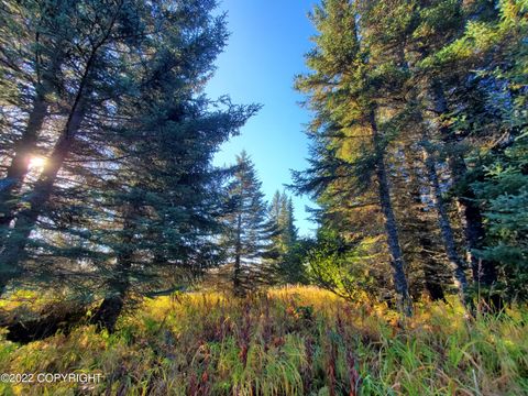 Vacant Land For Sale - 67572 Shavila Road<br/> Ninilchik, AK 99639