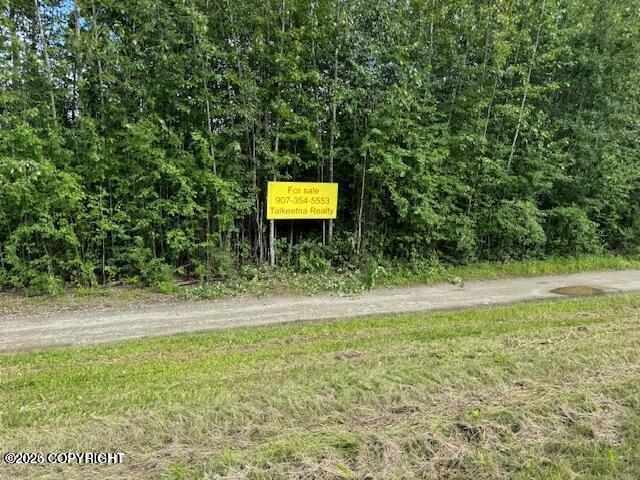 2291122945 S Talkeetna Spur Road