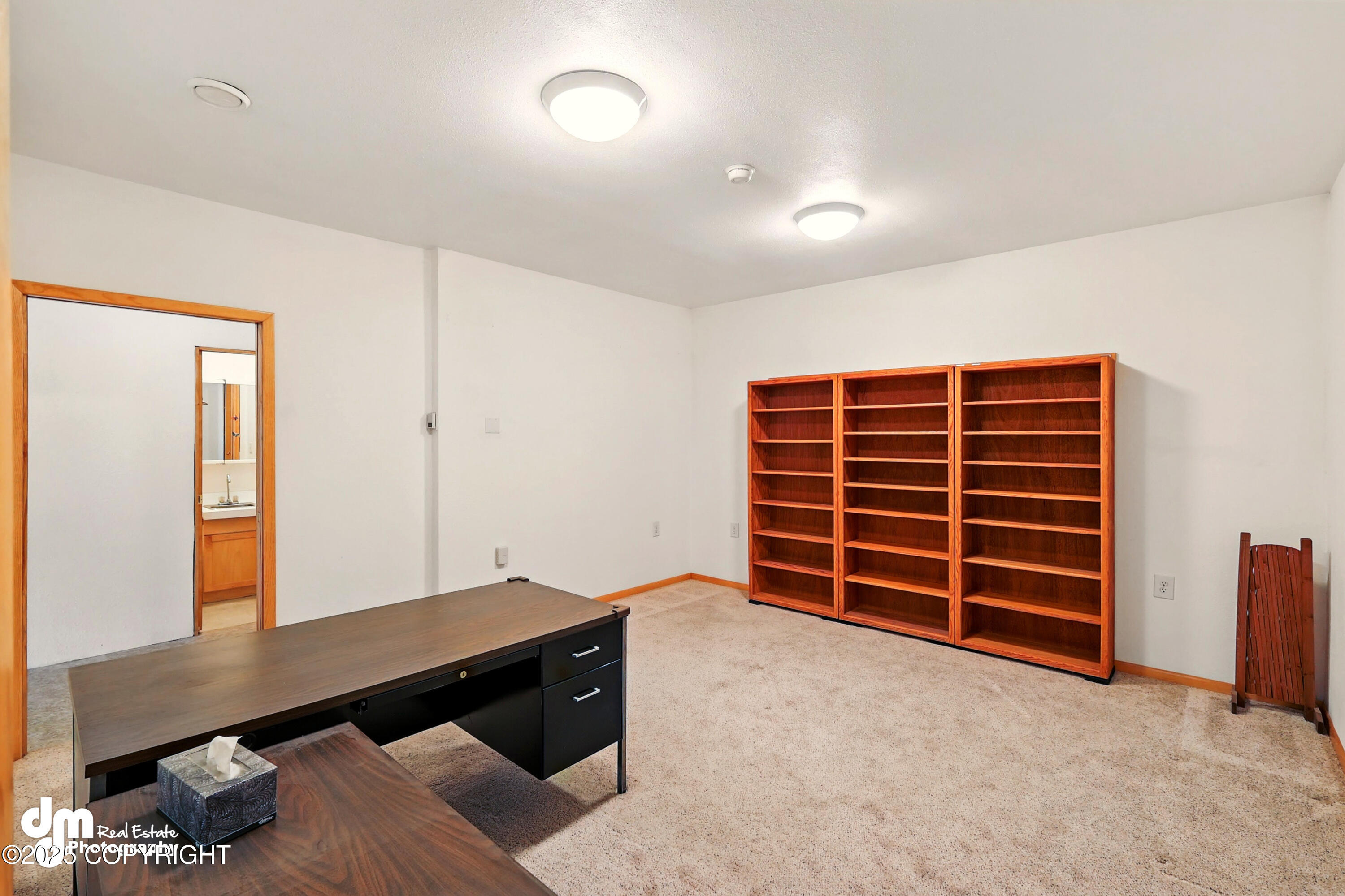 29425 Fools Gold Street, Soldotna, Alaska image 42