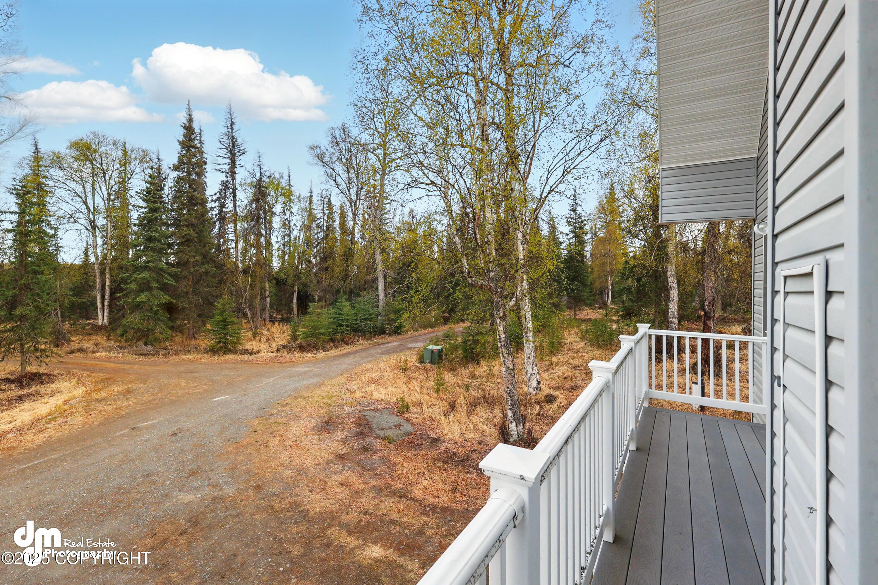 29425 Fools Gold Street, Soldotna, Alaska image 26