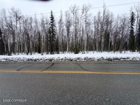 Photo of 24986 W Long Lake Road, Willow, AK 99688 (MLS # 26-3723)
