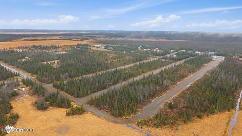 Photo of 50123 Buoy Avenue, Soldotna, AK 99611 (MLS # 26-5246)