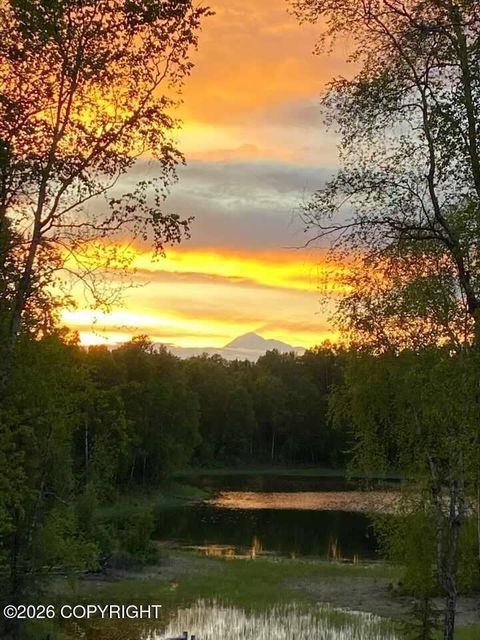 Photo of L1 B3 Wolfglen, Talkeetna, AK 99676 (MLS # 26-6908)