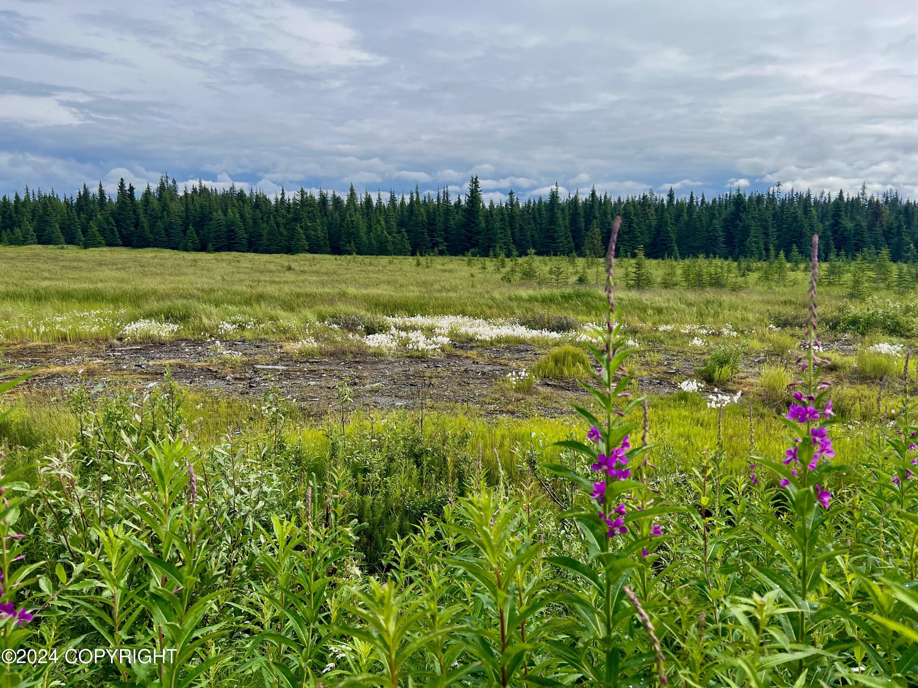 L5 Aquila Wings Road, Anchor Point, Alaska image 15