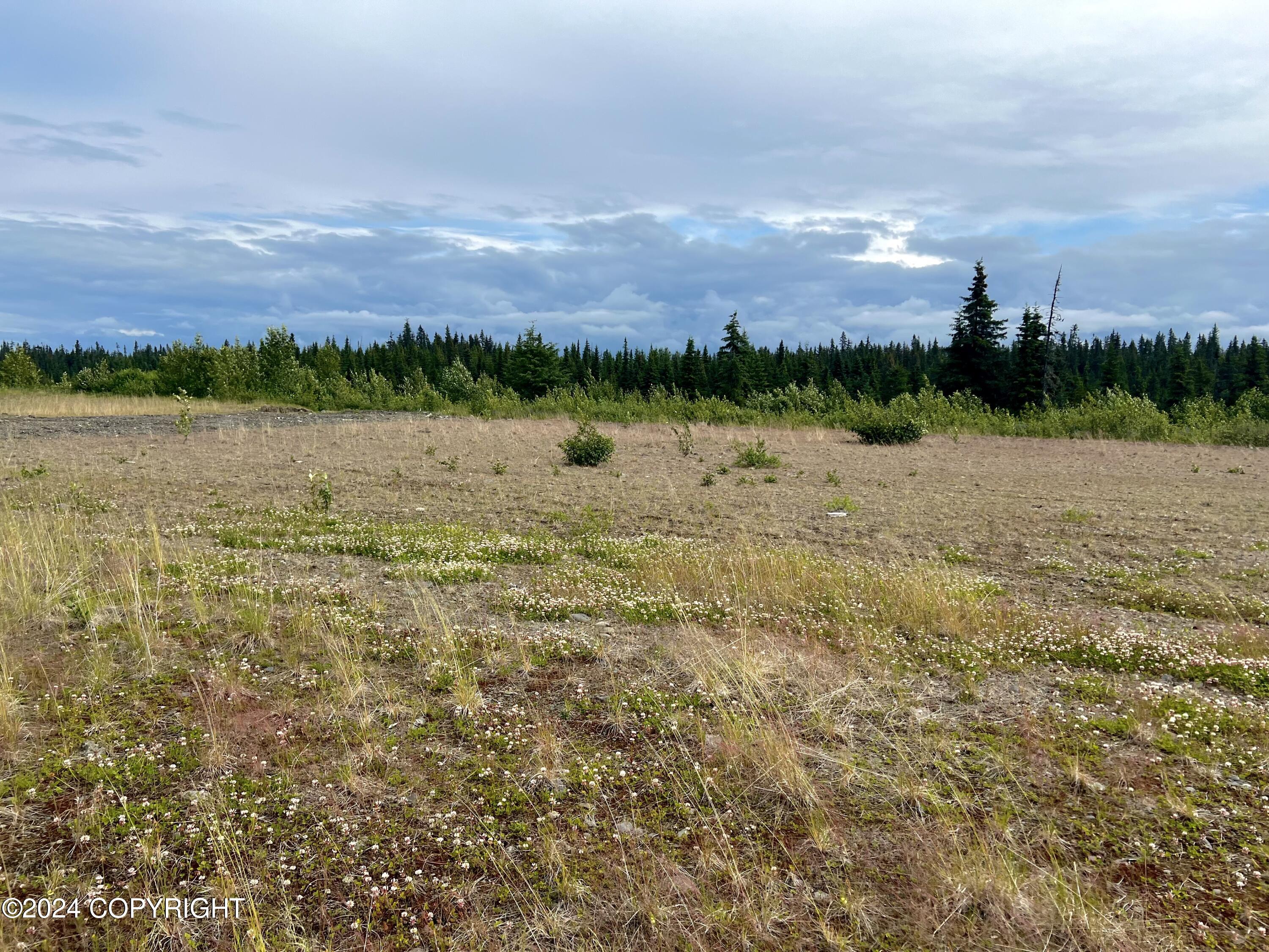 L5 Aquila Wings Road, Anchor Point, Alaska image 16