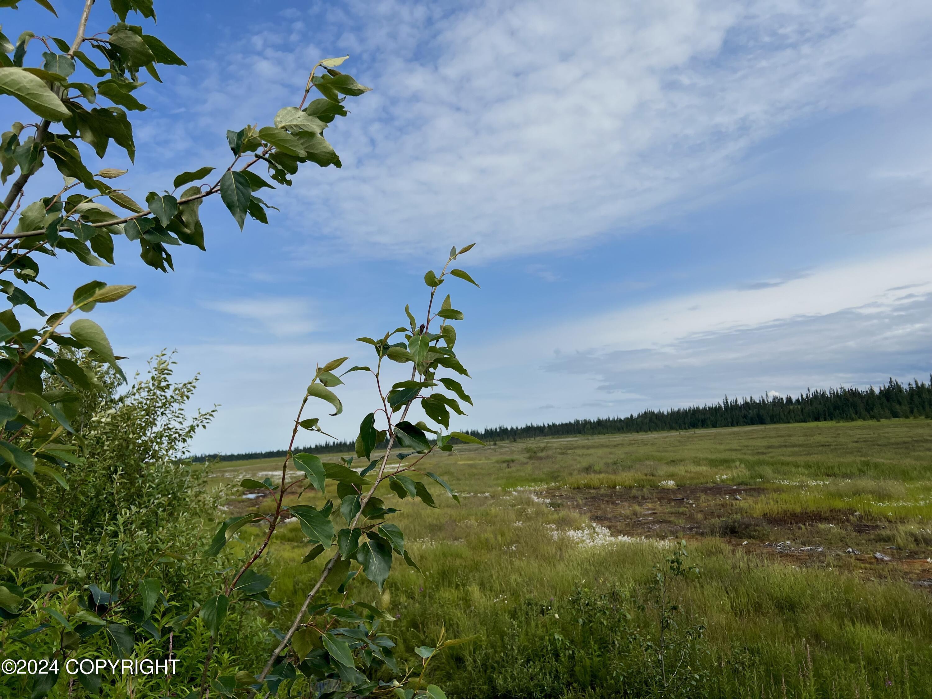 L5 Aquila Wings Road, Anchor Point, Alaska image 13