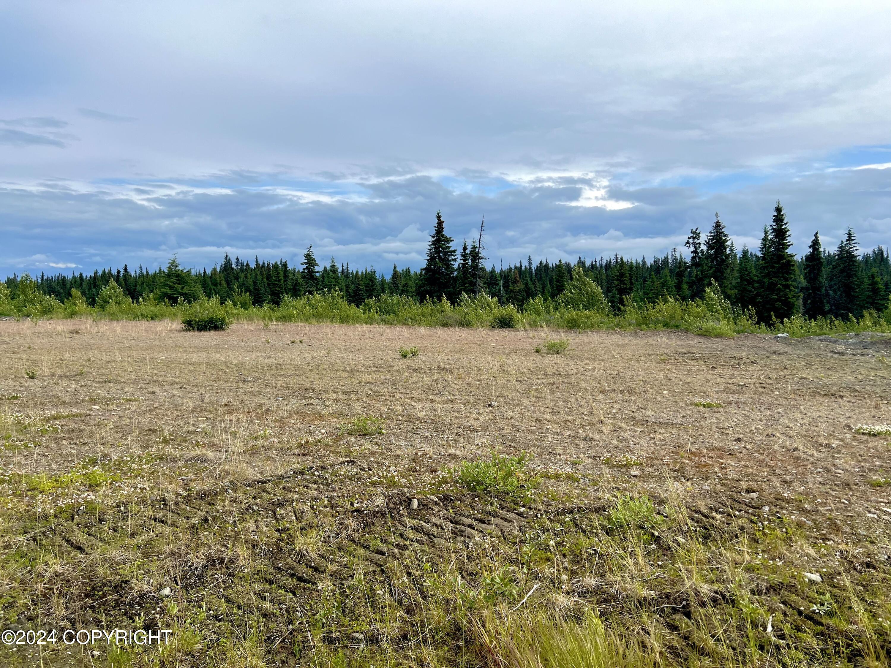 L5 Aquila Wings Road, Anchor Point, Alaska image 17