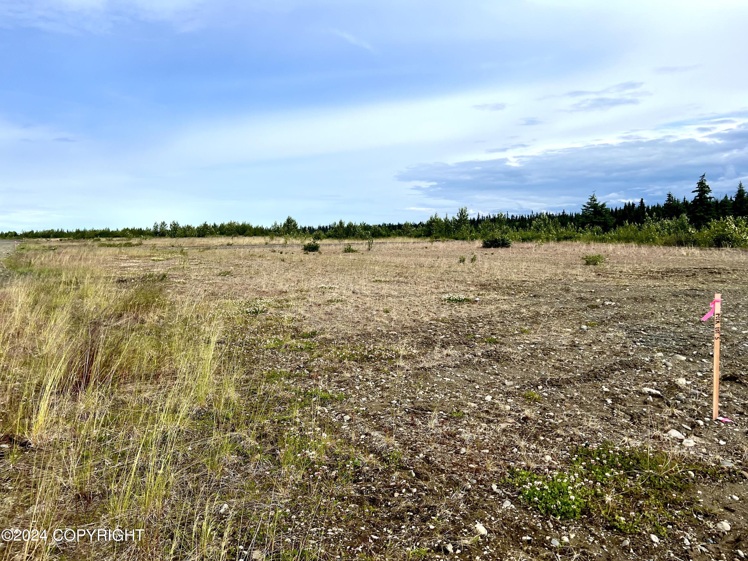 L5 Aquila Wings Road, Anchor Point, Alaska image 11