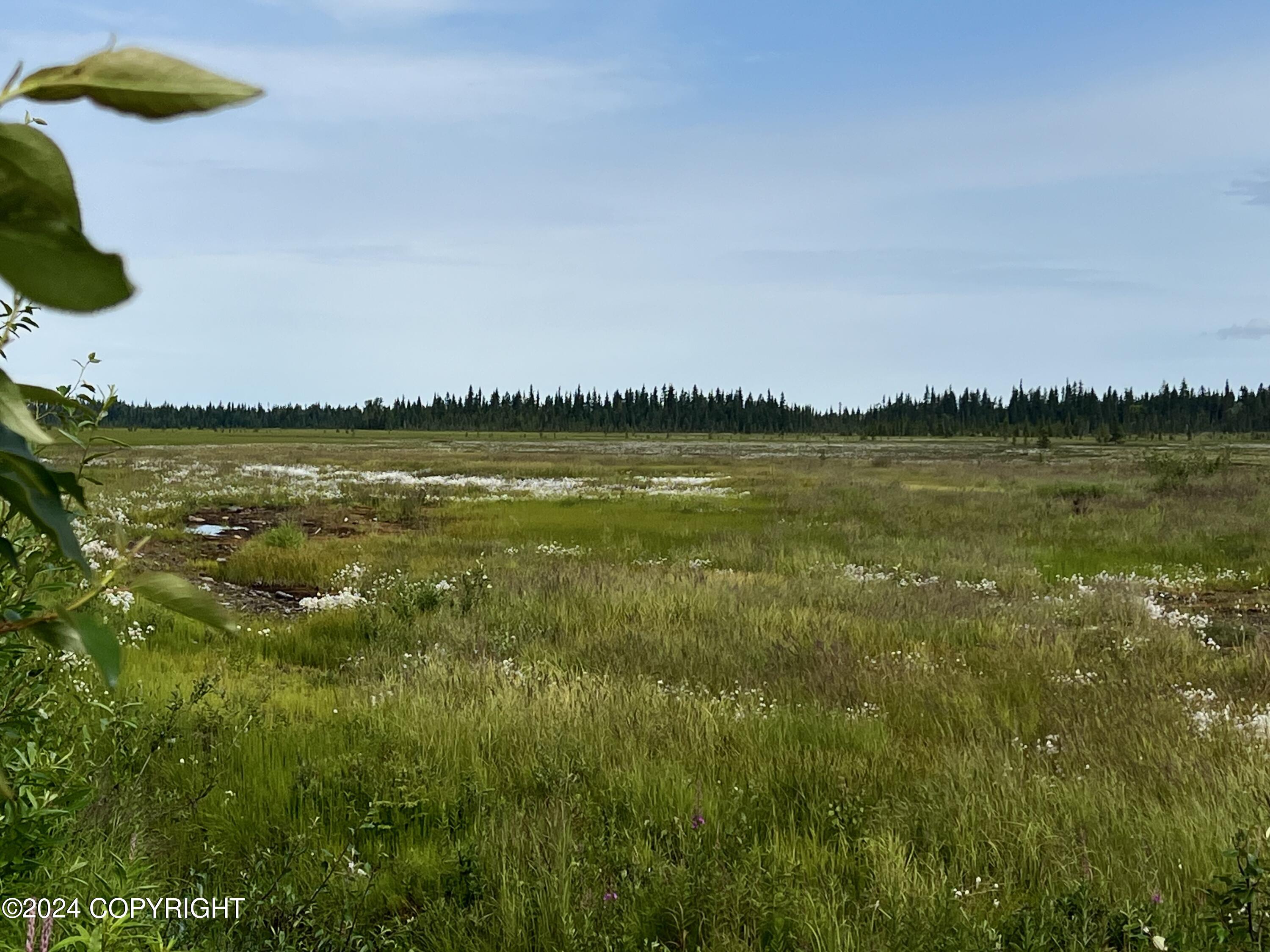 L5 Aquila Wings Road, Anchor Point, Alaska image 18