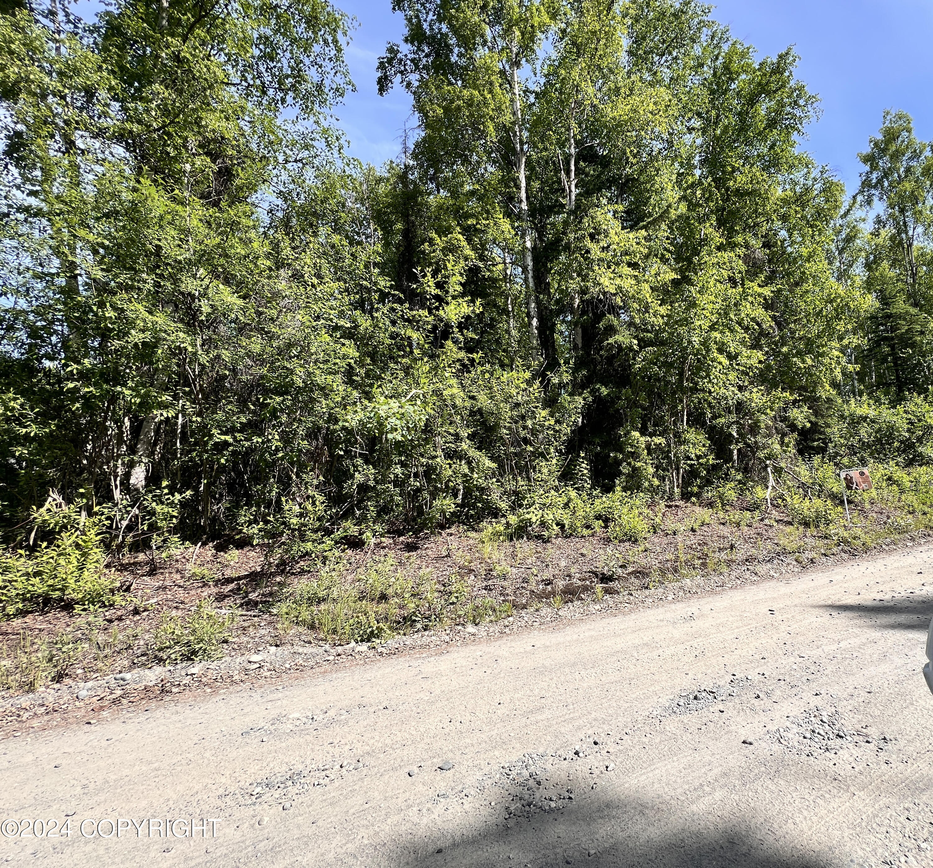 14877 E Martin Drive, Willow, Alaska image 1