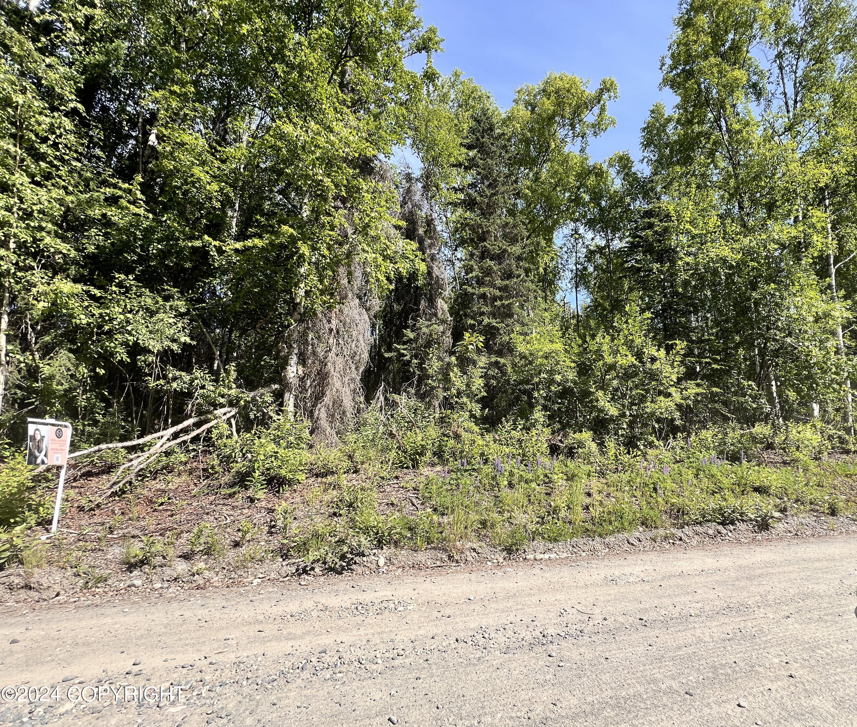 14877 E Martin Drive, Willow, Alaska image 4