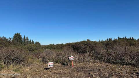 Vacant Land For Sale - 17338 Tidal Knoll Road<br/> Ninilchik, AK 99639