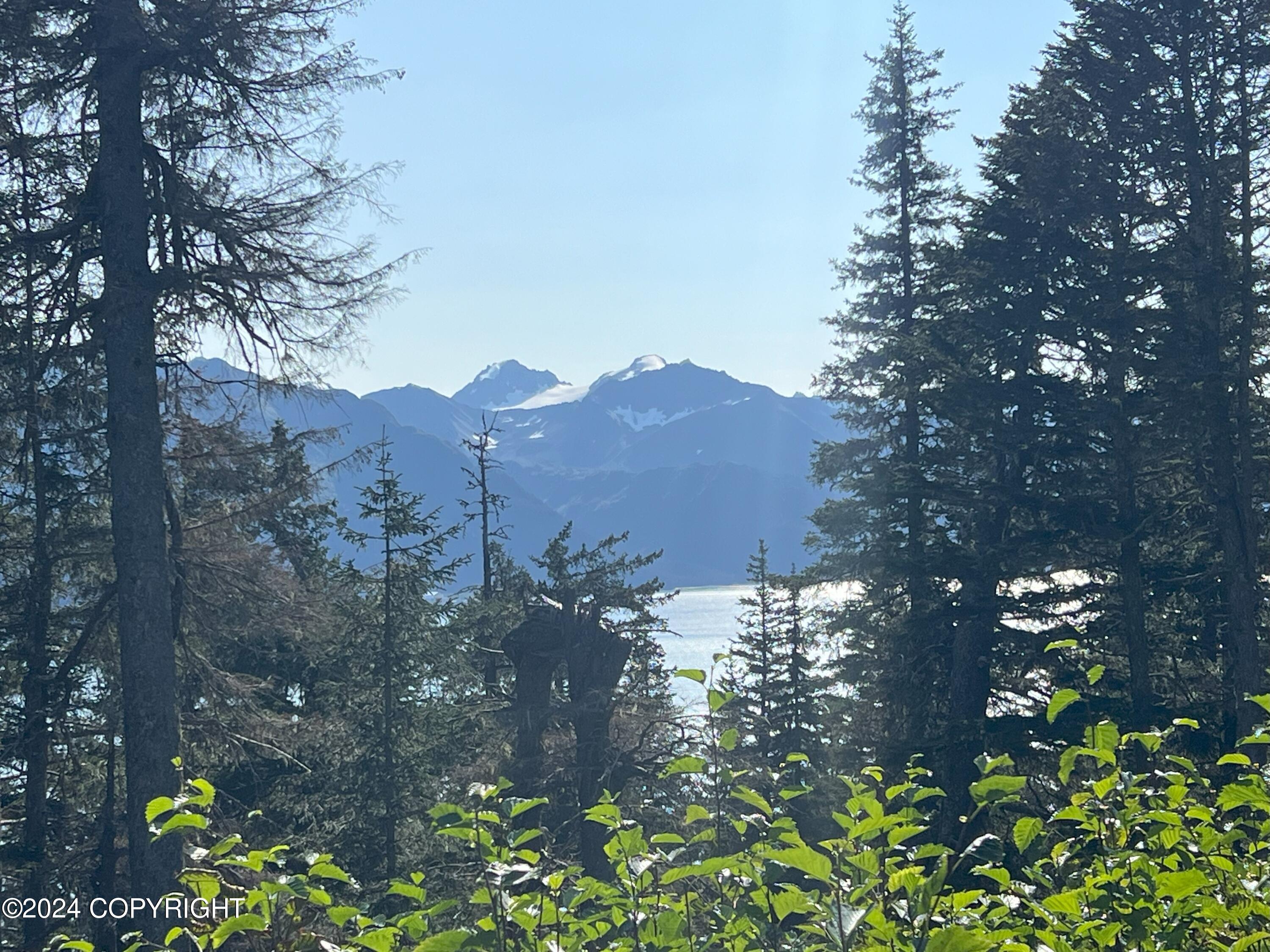 110 Aialik Street, Seward, Alaska image 7