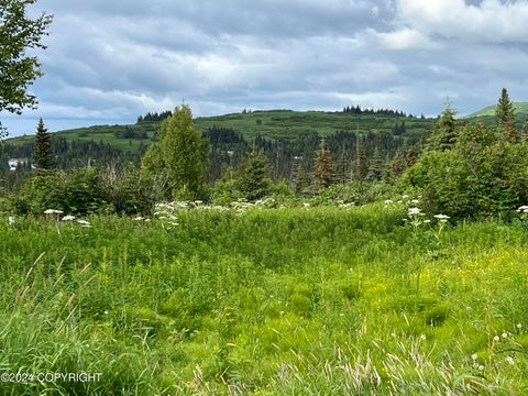 Vacant Land For Sale - 64985 Nikolaevsk Road<br/> Nikolaevsk, AK 99556