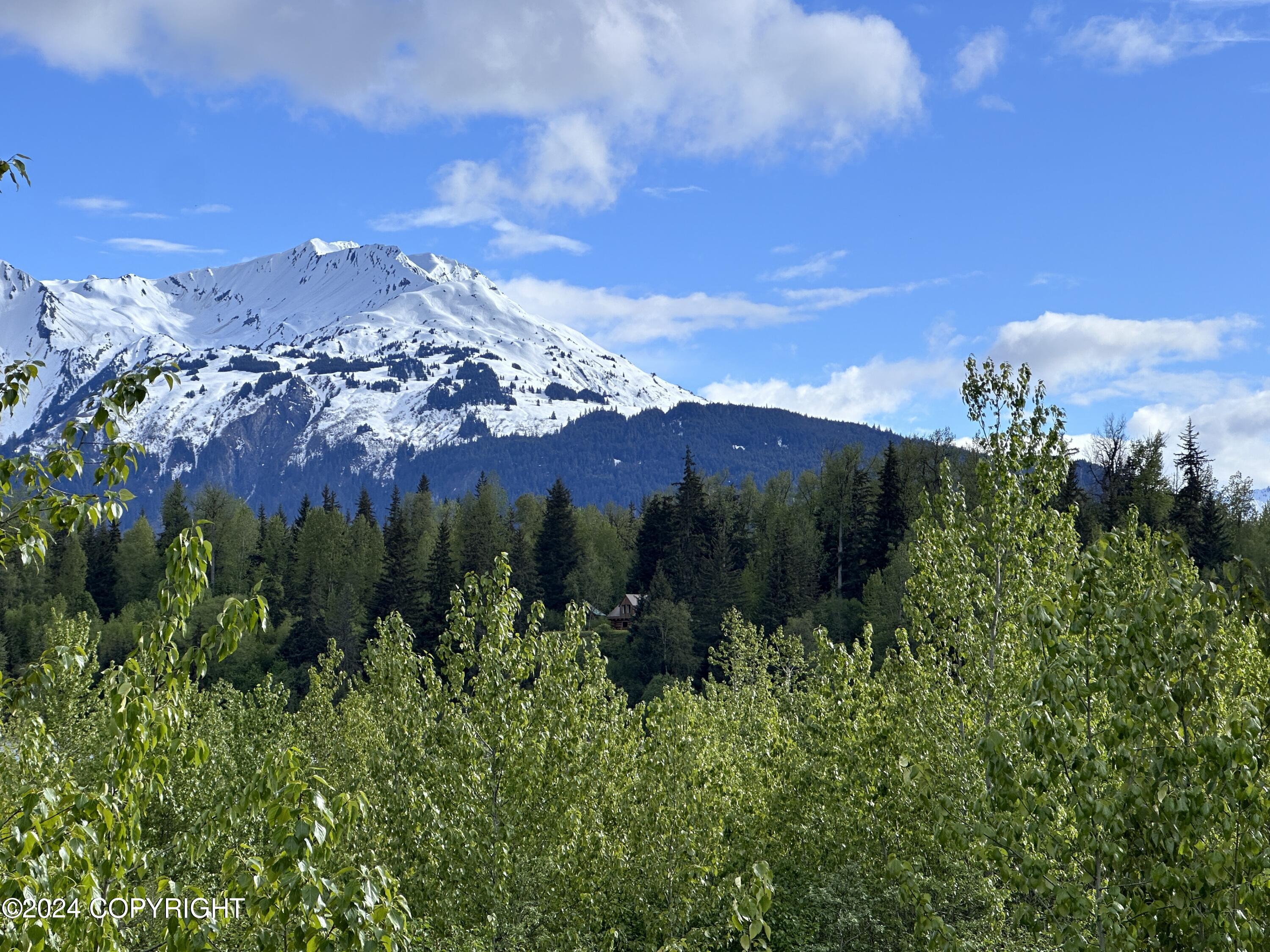 344 Eagle Bluff Drive, Haines, Alaska image 4