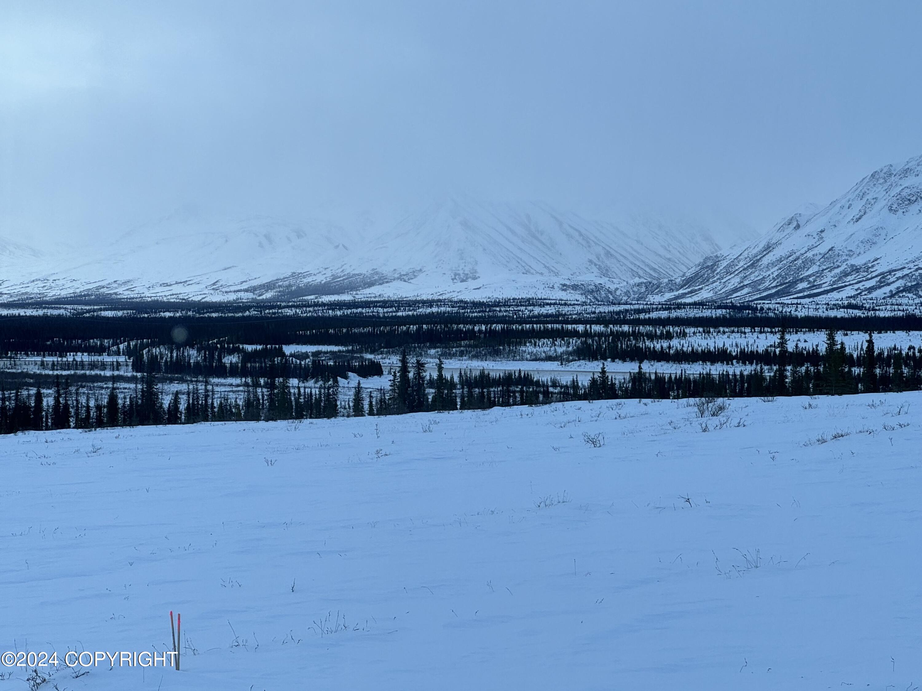 L33 Wonderstruck Avenue, Cantwell, Alaska image 38