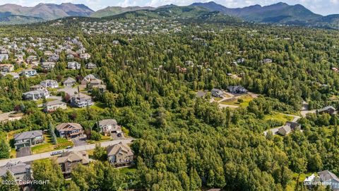 Vacant Land For Sale - 000 Essex Park Drive<br/> Anchorage, AK 99516