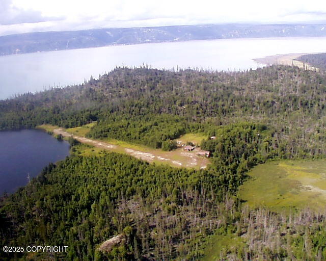 Tr A-2 Pomeroy Road, Homer, Alaska image 10