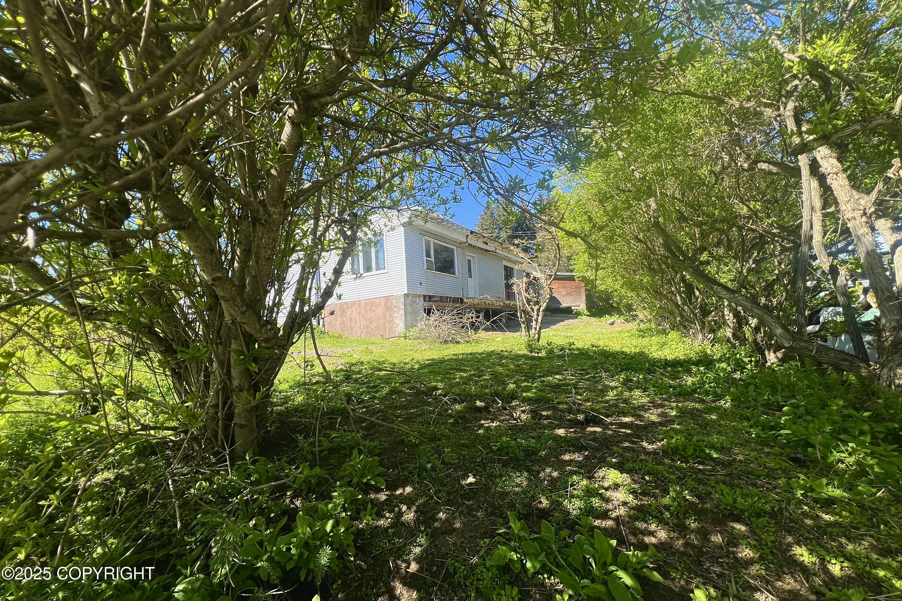 450 Noview Avenue, Homer, Alaska image 3