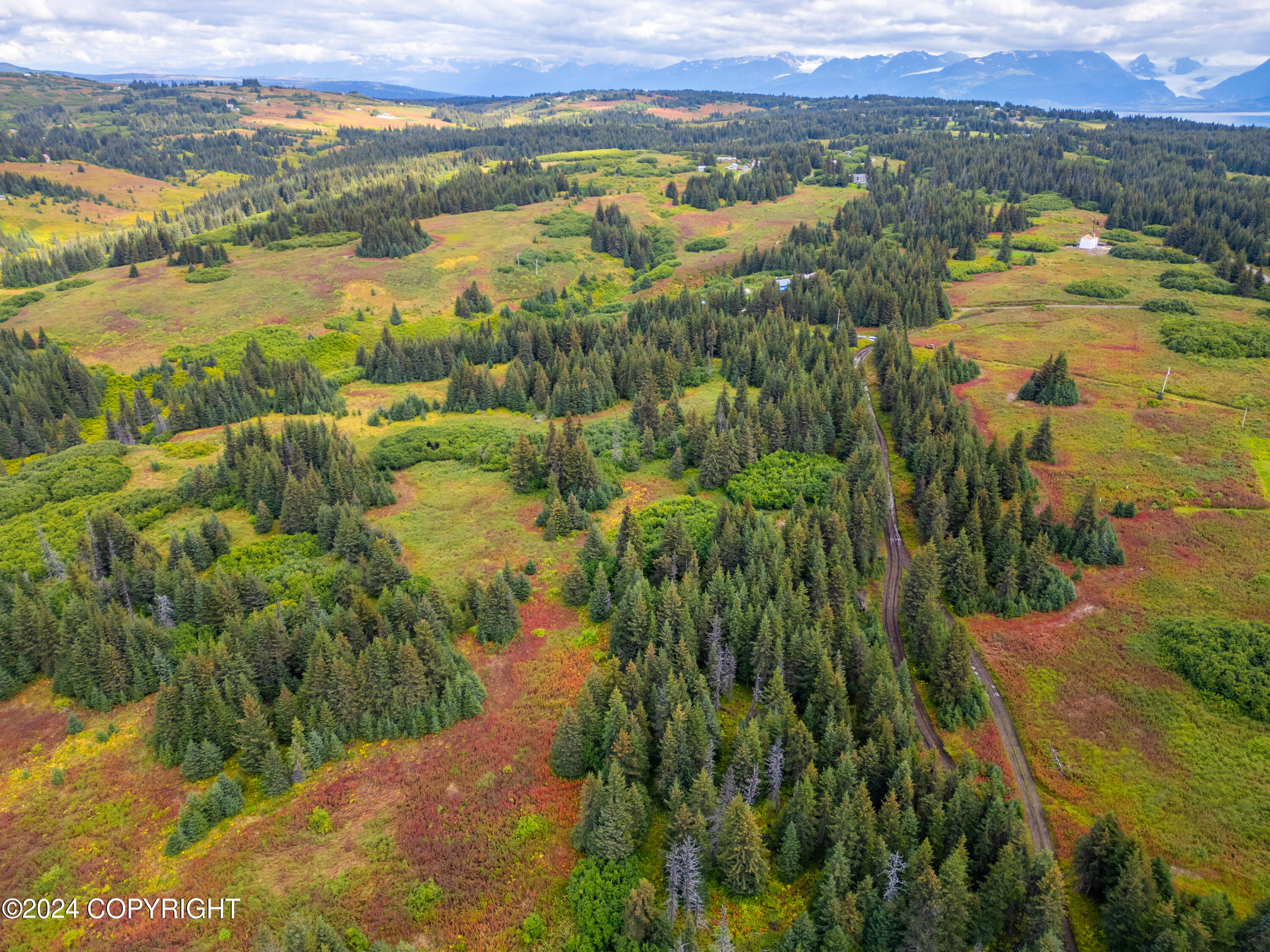 L5 Nka Crossman Ridge Avenue, Homer, Alaska image 9