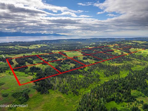 Vacant Land For Sale - L5 Nka Crossman Ridge Avenue<br/> Homer, AK 99603