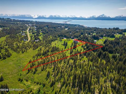 Vacant Land For Sale - 4695 Lincoln Circle<br/> Homer, AK 99603