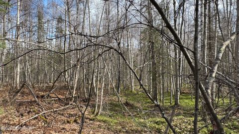 Photo of 48601 S Bendapole Road, Willow, AK 99688 (MLS # 26-5466)