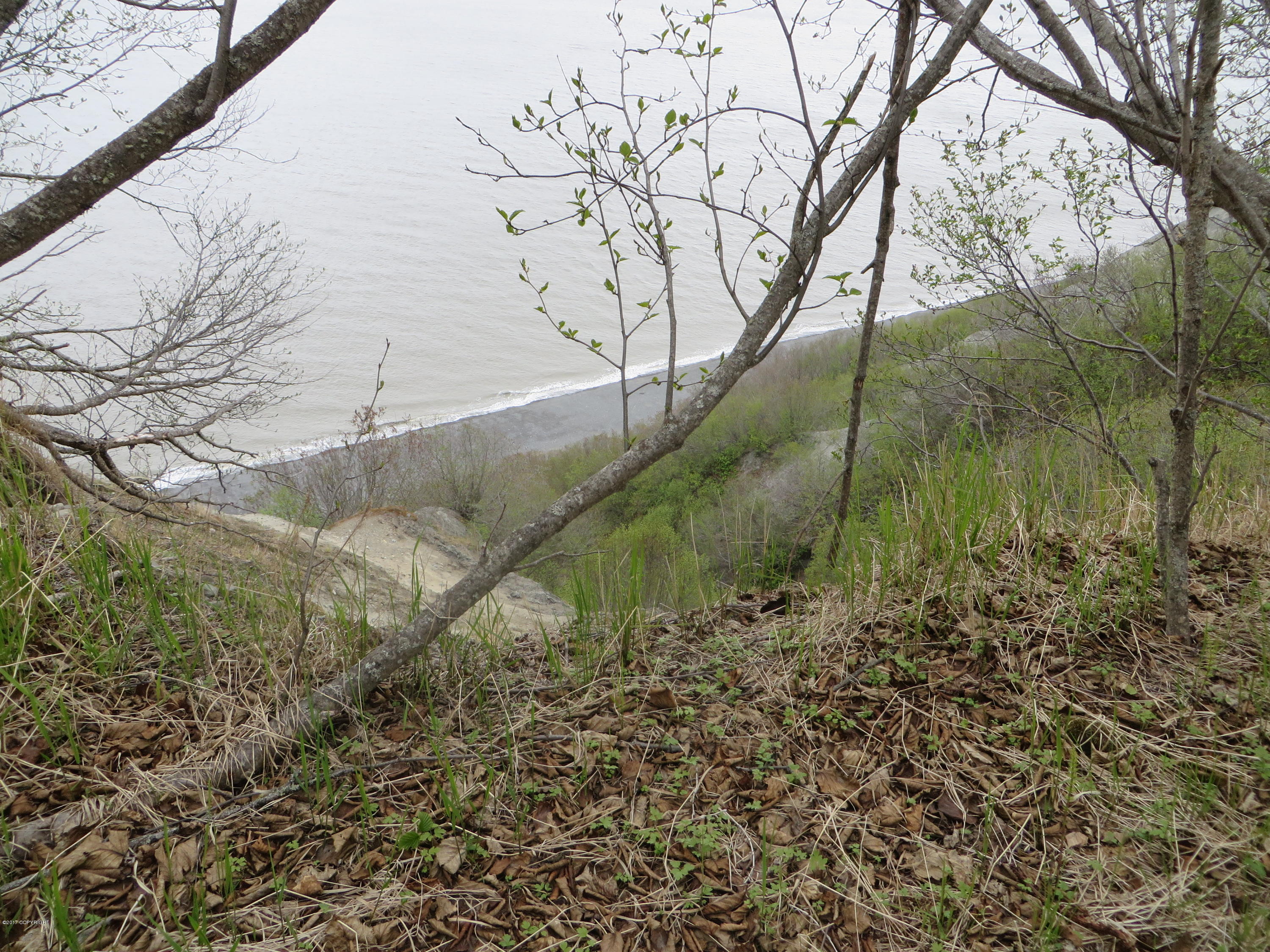 58088 Faccio Road, Clam Gulch, Alaska image 3