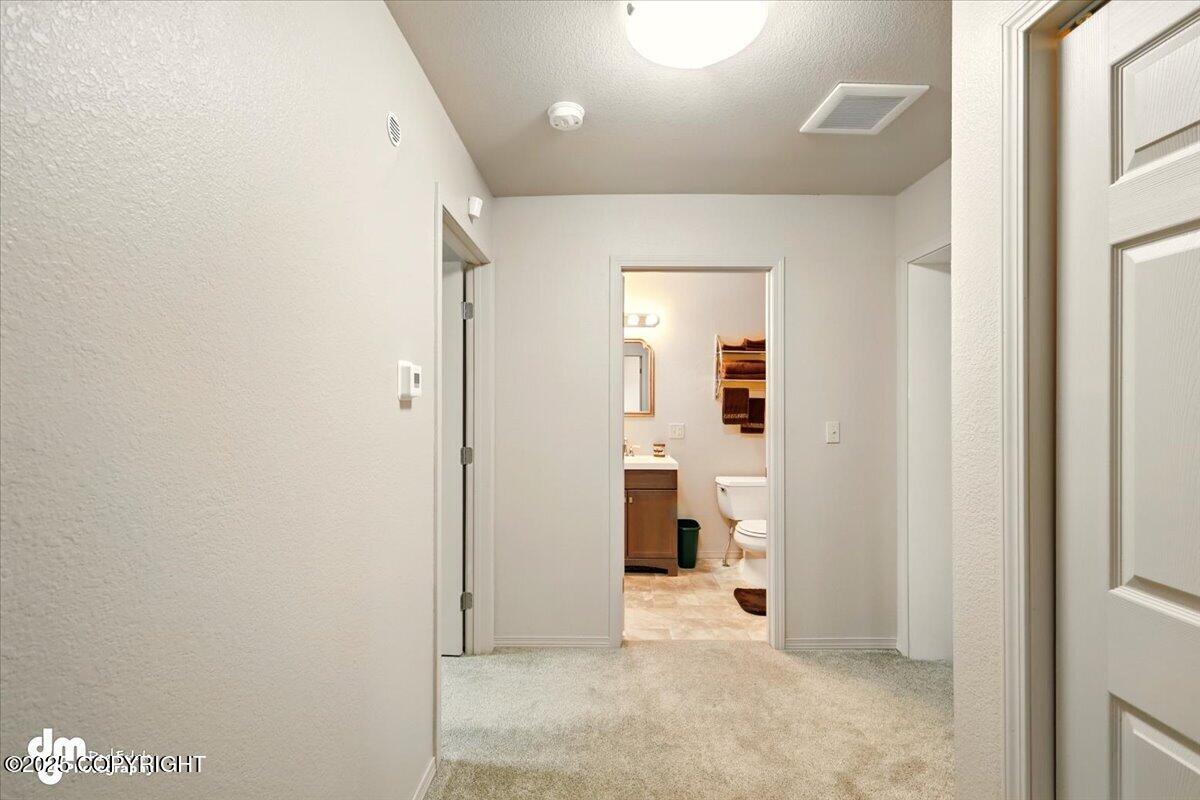 739 N Knob Hill Court, Big Lake, Alaska image 32