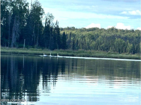 Photo of Tr A-B W BJ Lake, Skwentna, AK 99688 (MLS # 26-9802)