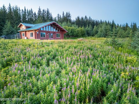 Homes For Sale - 64264 Mineral Drive<br/> Homer, AK 99603