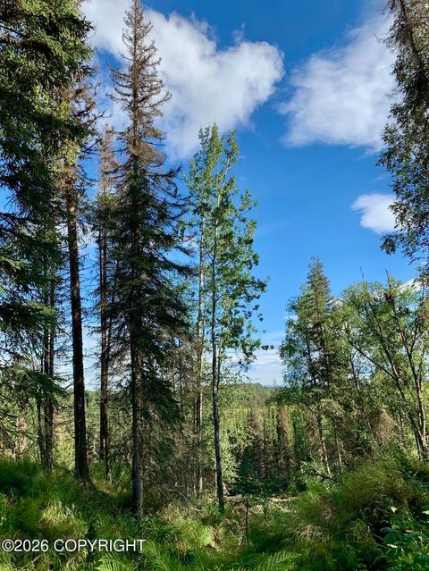 Vacant Land For Sale - 245 Nevada Street<br/> Kenai, AK 99611