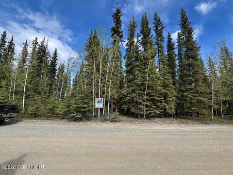 Photo of lot 1-5 Hartsell Subvisision, Tok, AK 99780 (MLS # 26-5936)