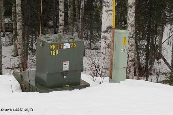 12918 N Prism Drive, Willow, Alaska image 5