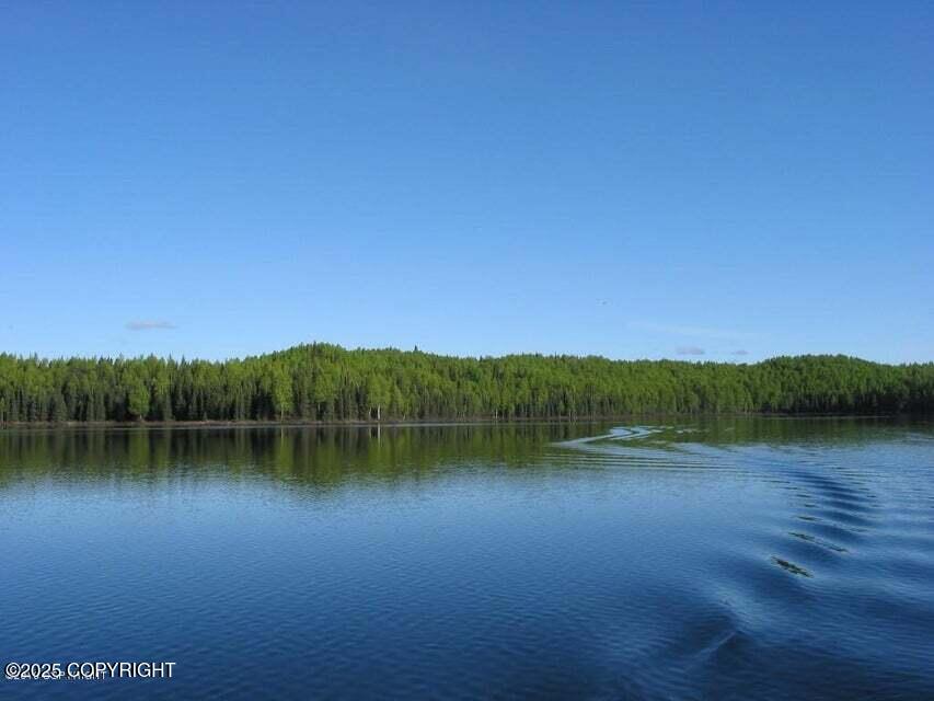 12918 N Prism Drive, Willow, Alaska image 6
