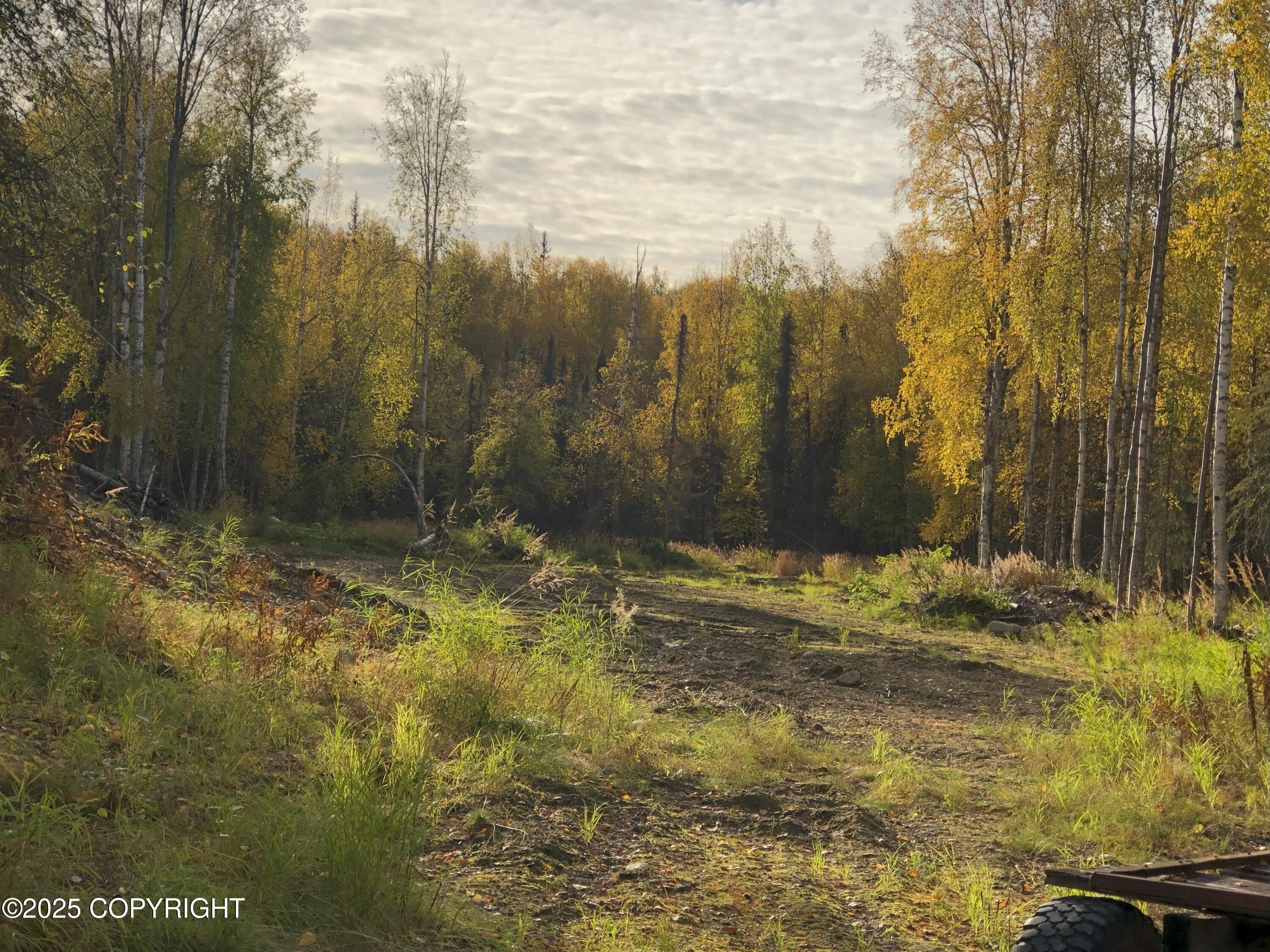 12918 N Prism Drive, Willow, Alaska image 2