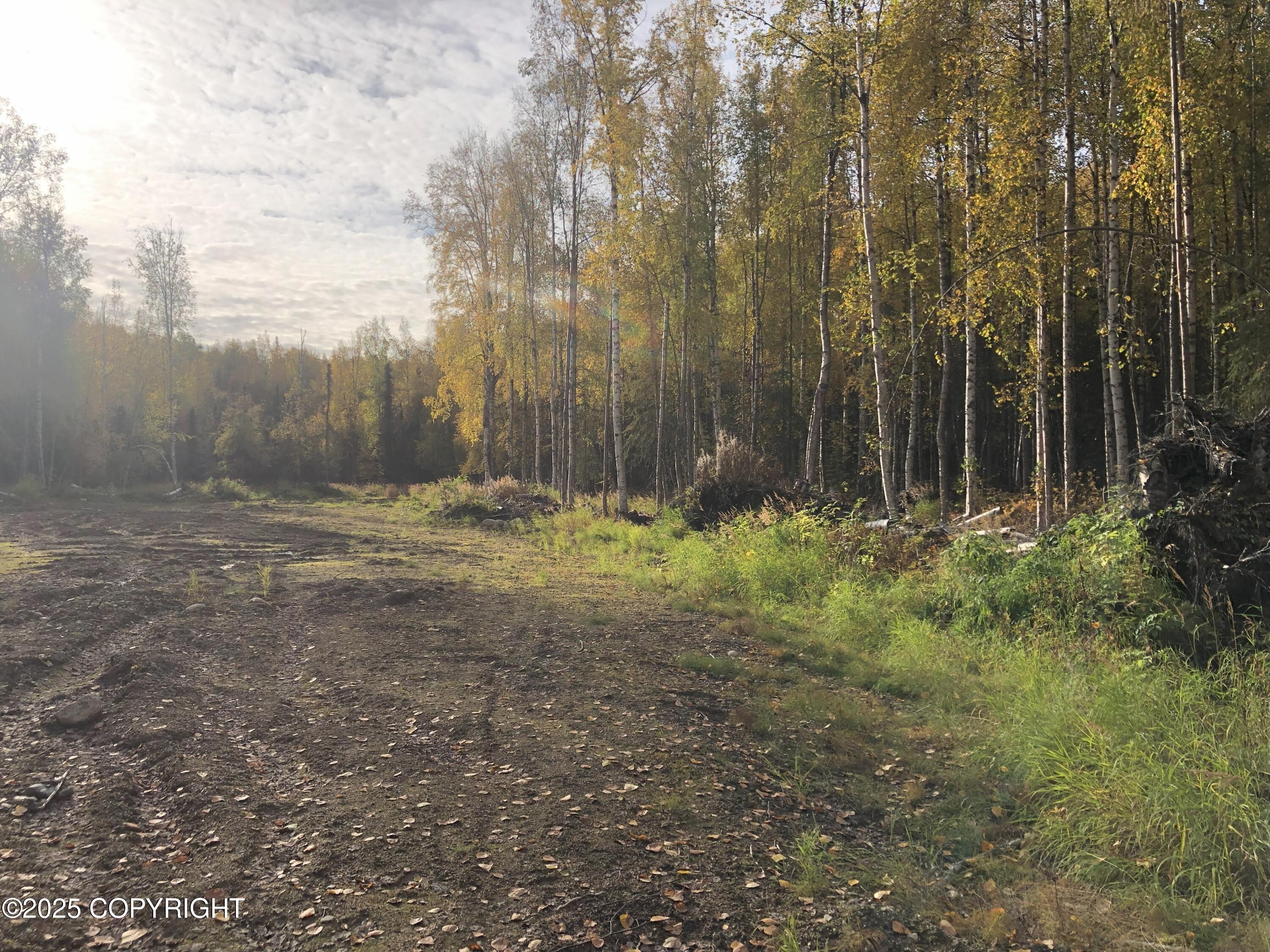 12918 N Prism Drive, Willow, Alaska image 4