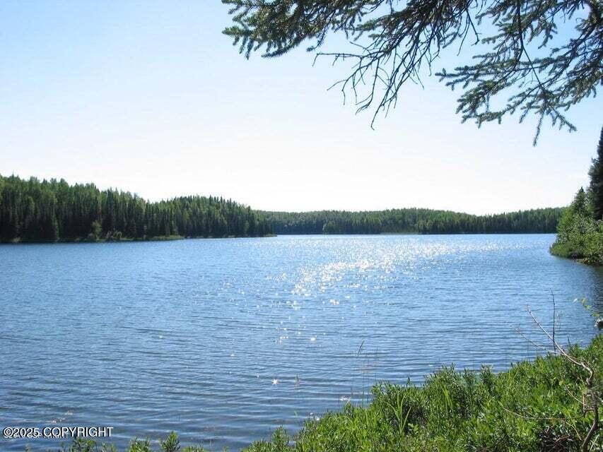 12918 N Prism Drive, Willow, Alaska image 8
