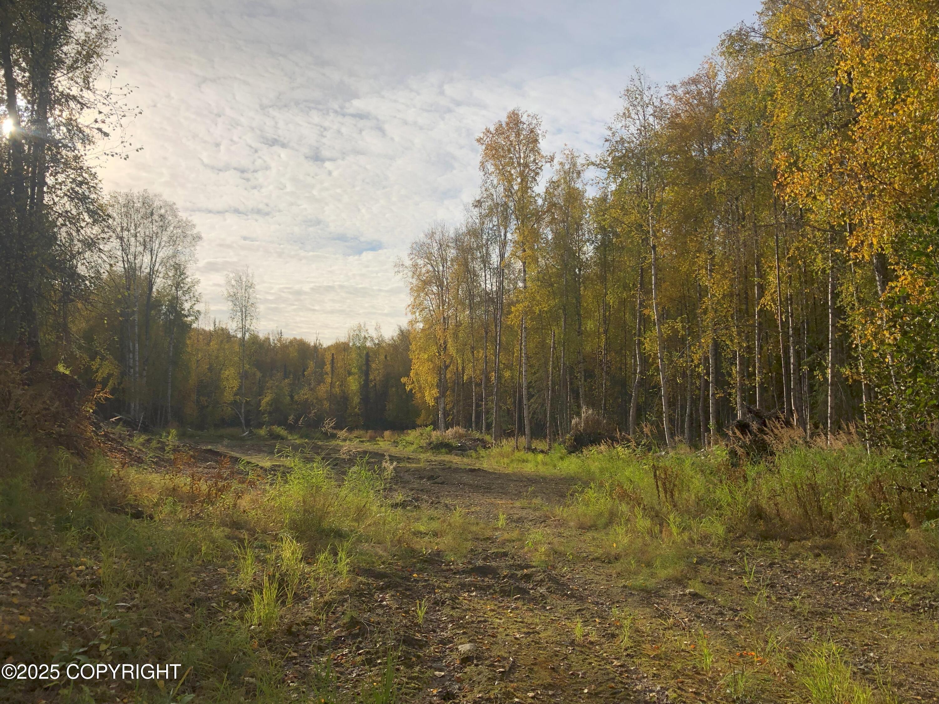 12918 N Prism Drive, Willow, Alaska image 3