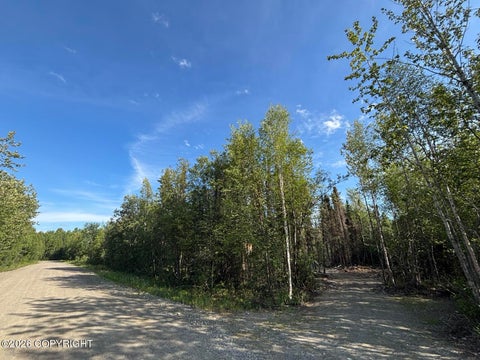Vacant Land For Sale - 13944 E Susitna Circle<br/> Willow, AK 99688