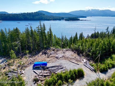 Photo of 11B Bayview Drive, Naukati Bay, AK 99950 (MLS # 26-4328)