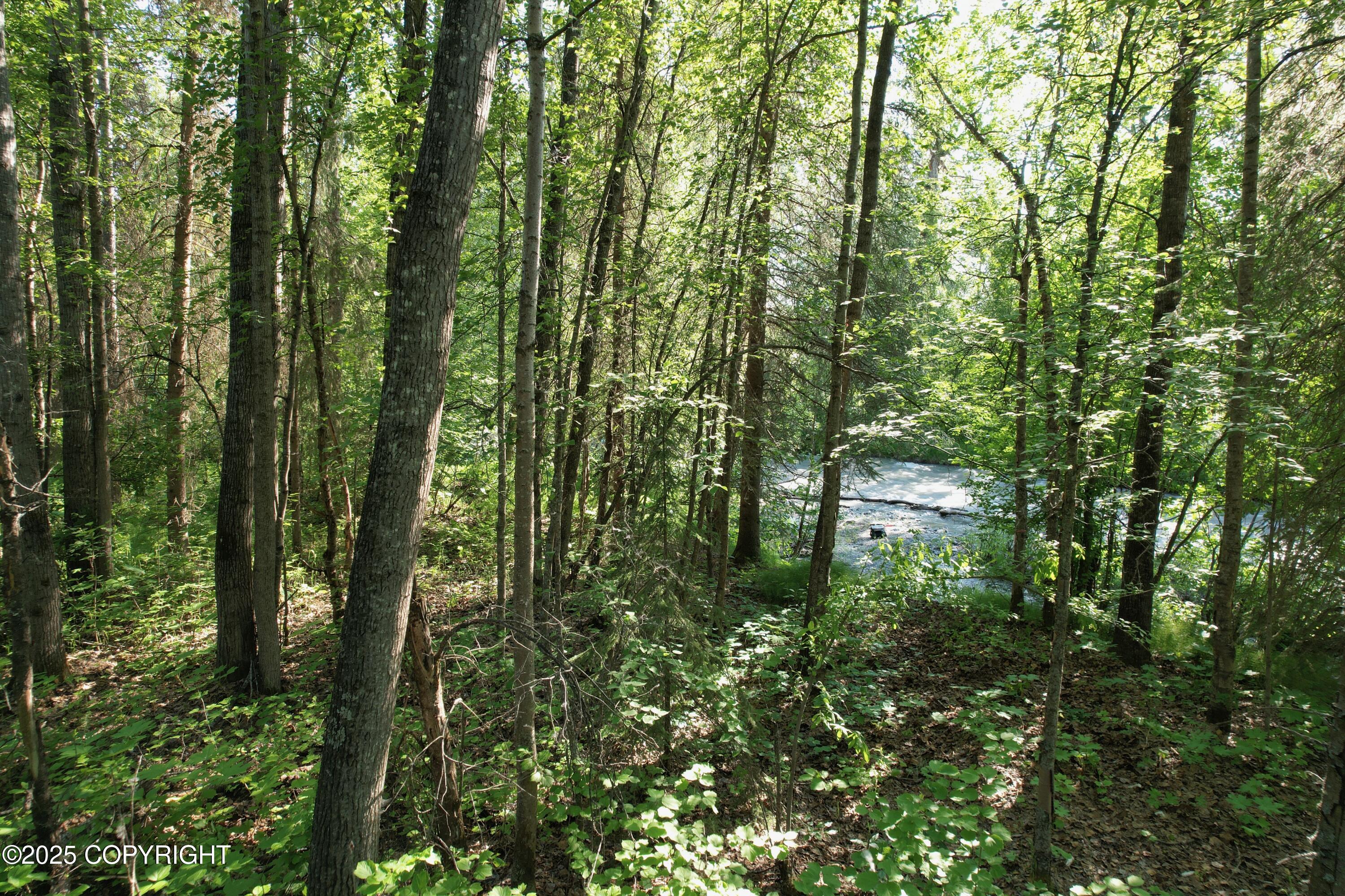 B50 Yarnot, Chugiak, Alaska image 31