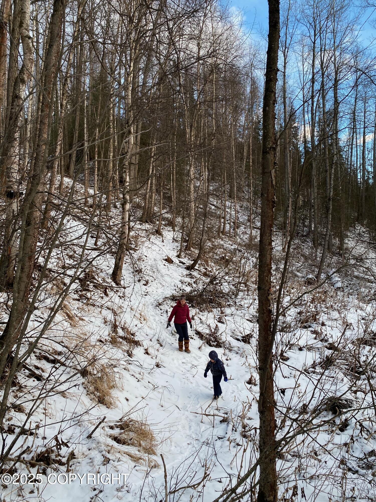 B50 Yarnot, Chugiak, Alaska image 11