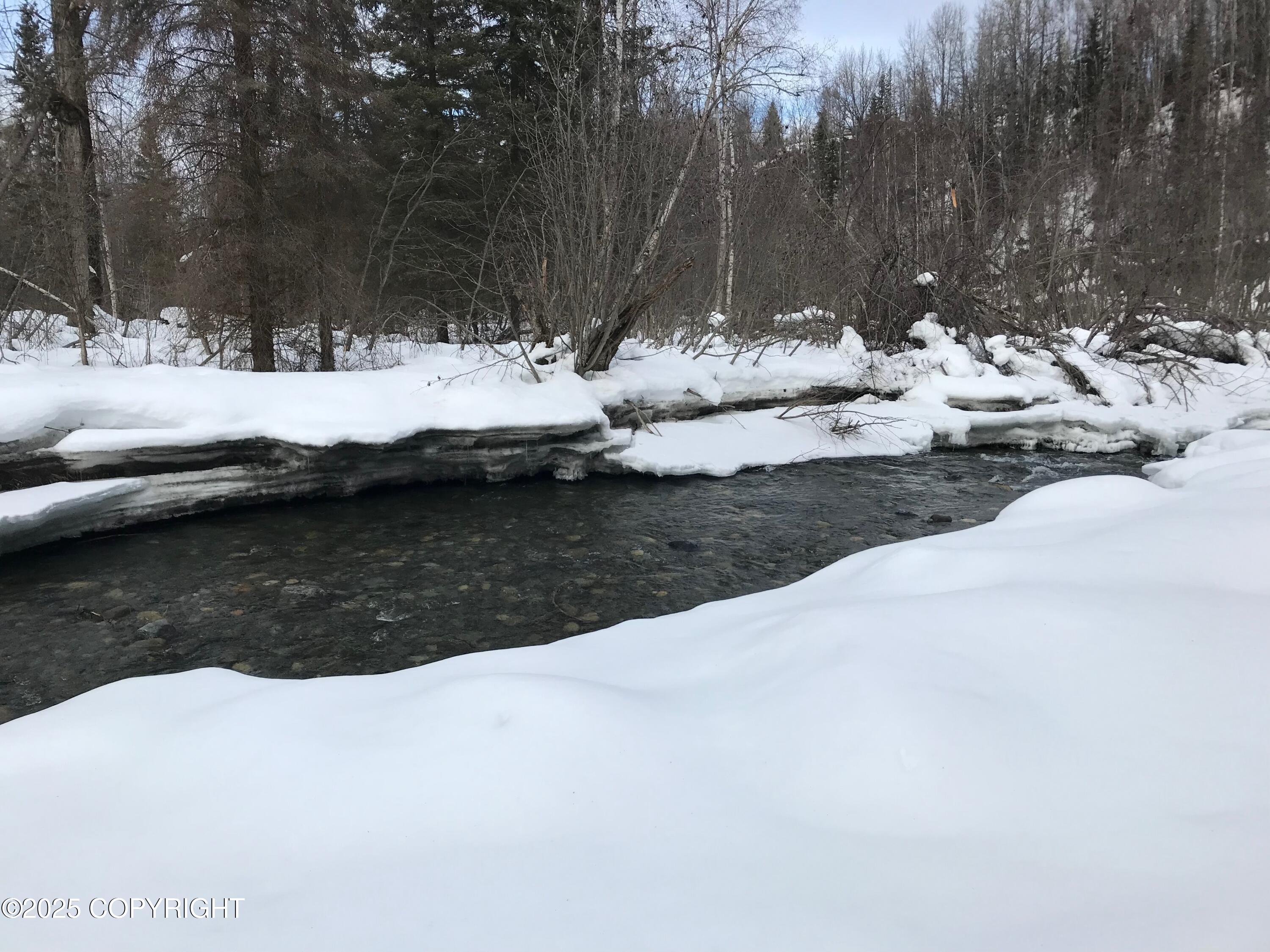 B50 Yarnot, Chugiak, Alaska image 6