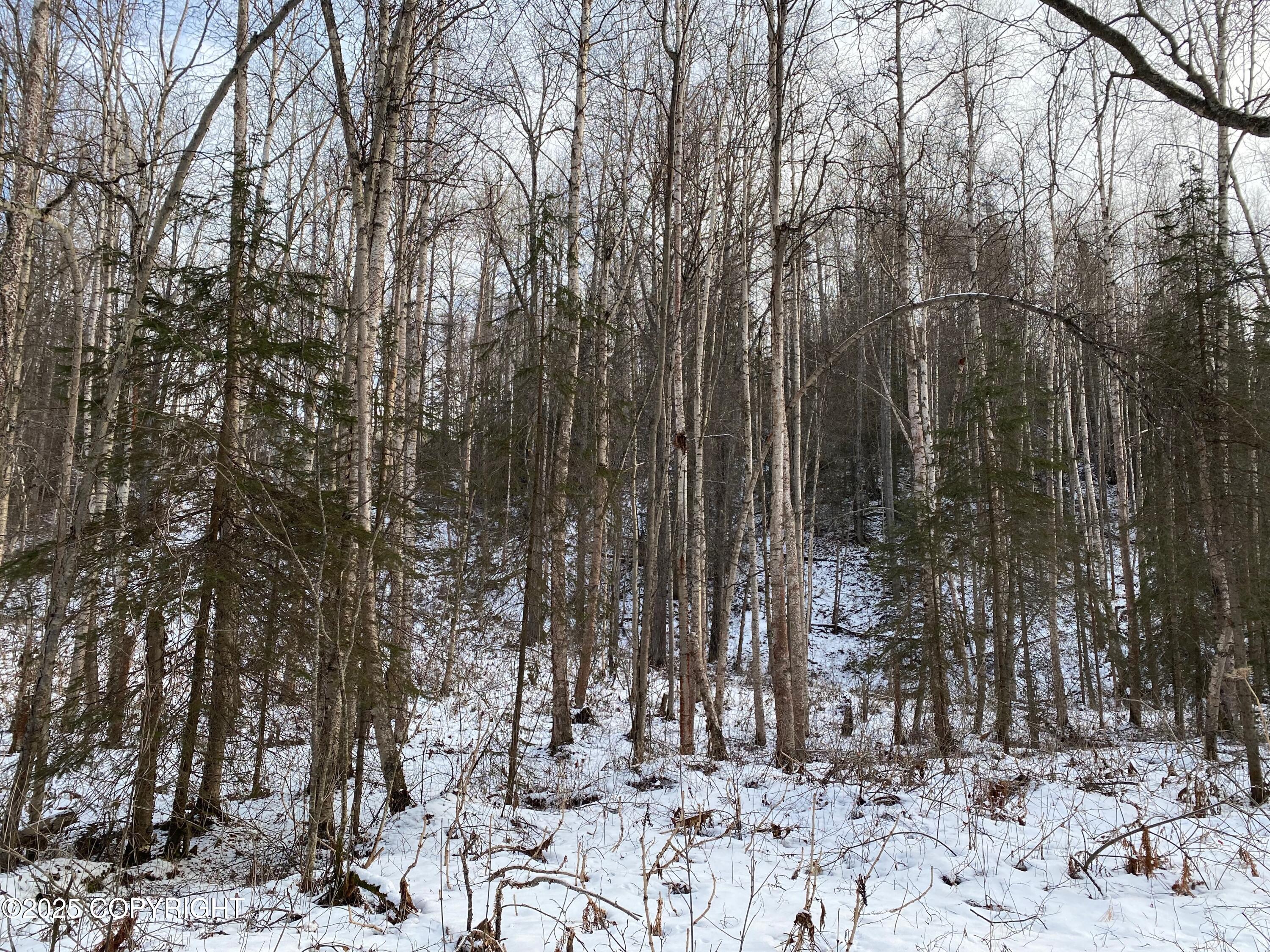 B50 Yarnot, Chugiak, Alaska image 13
