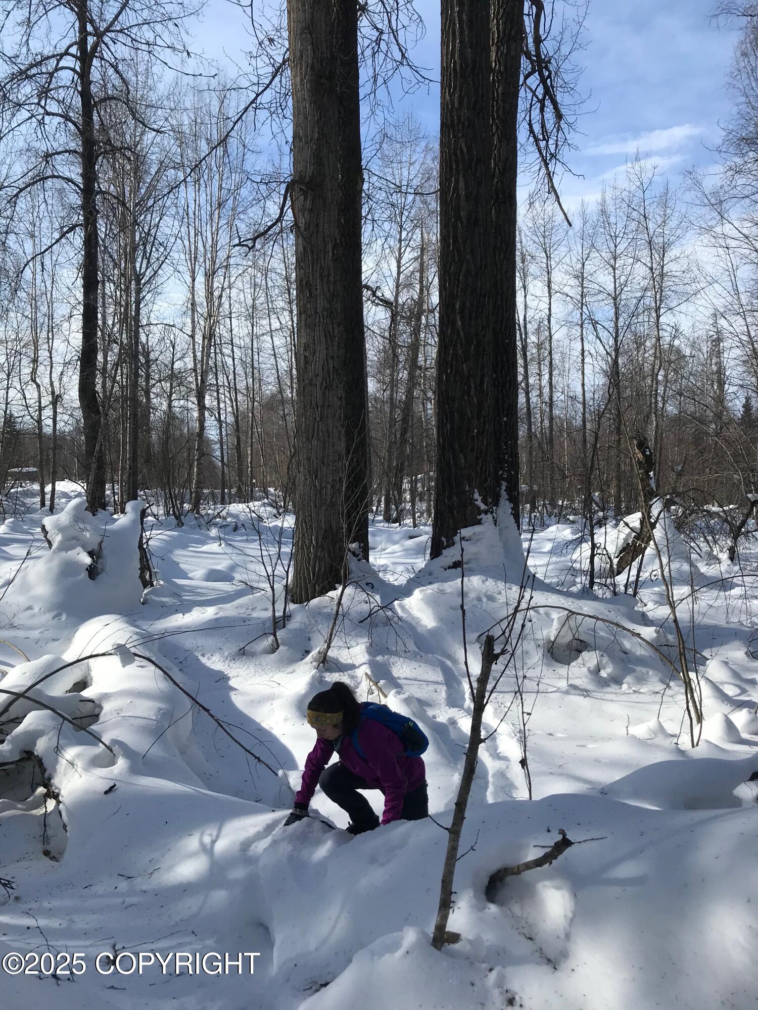 B50 Yarnot, Chugiak, Alaska image 21