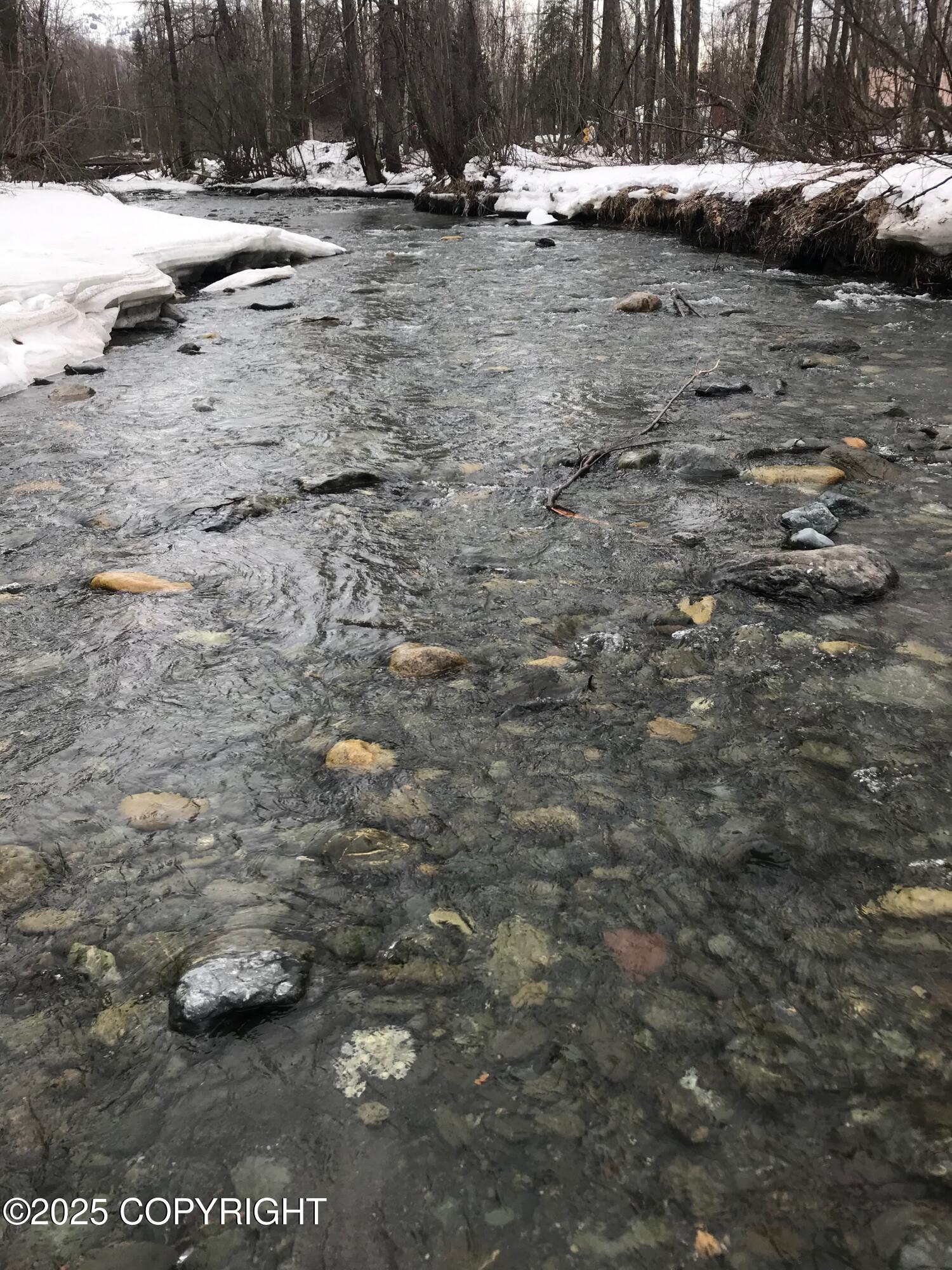B50 Yarnot, Chugiak, Alaska image 5