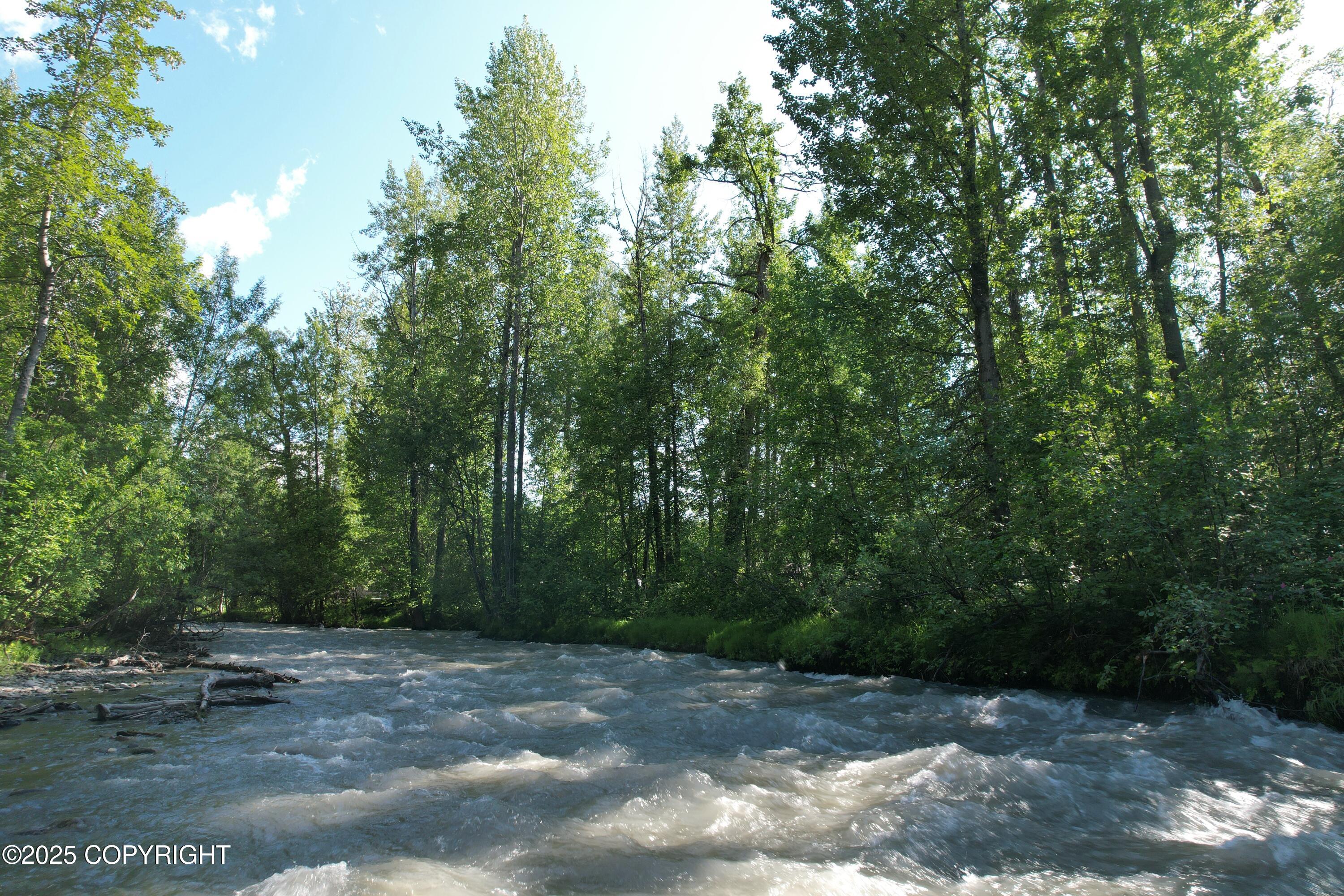 B50 Yarnot, Chugiak, Alaska image 7